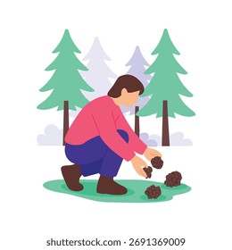 Pinecones, Collecting pinecones scattered on forest ground