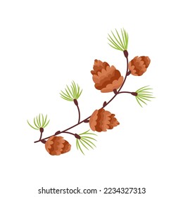 Pinecones on pine branch isolated on white background. Vector winter forest plant flat illustration
