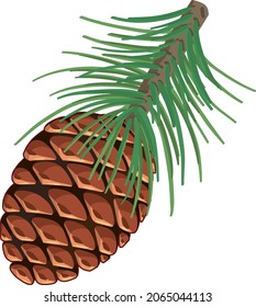 Pinecorn with pine needles isolated illustration