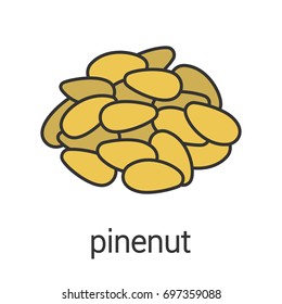 Pinenut color icon. Isolated vector illustration