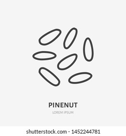 Pinenut flat line icon. Vector thin sign of nut, healthy food outline illustration.