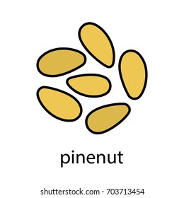 Pinenuts color icon. Isolated vector illustration