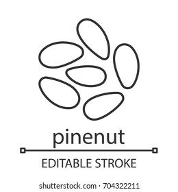Pinenuts linear icon. Thin line illustration. Contour symbol. Vector isolated outline drawing. Editable stroke