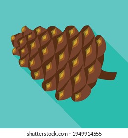 Pineof cone vector icon.Flat vector icon isolated on white background pine of cone.