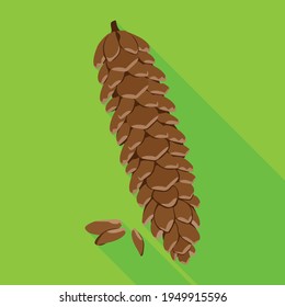 Pineof cone vector icon.Flat vector icon isolated on white background pine of cone.