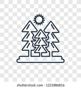 Pines concept vector linear icon isolated on transparent background, Pines concept transparency concept in outline style