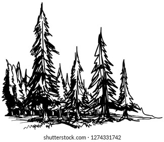 Pines forest hand drawn landscape doodle sketch. Black abd white vector illustration.