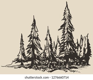 Pines forest hand drawn landscape doodle sketch. Monochrome vector illustration.