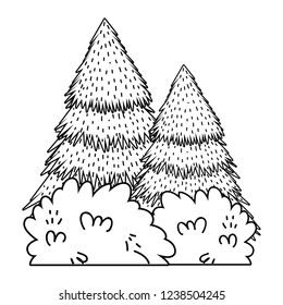 pines forest landscape scene