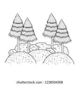 pines forest landscape scene
