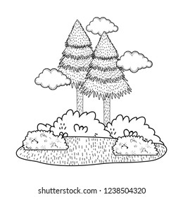 pines forest landscape scene