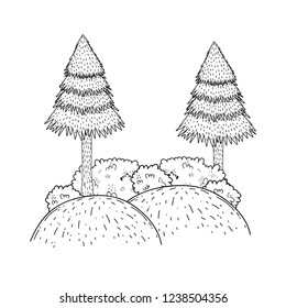 pines forest landscape scene