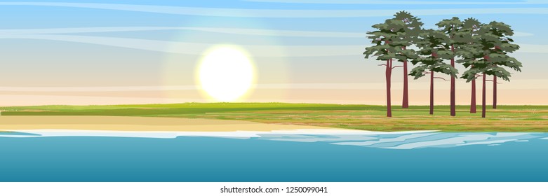 Pines on the coast of the sea or lake. Scandinavia and Baltic. Realistic vector landscape.