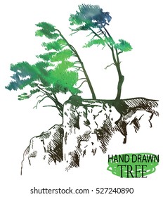 Pines on a rock. Drawing by hand in vintage style. Large old trees bend in the wind.