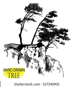 Pines on a rock. Drawing by hand in vintage style. Large old trees bend in the wind.