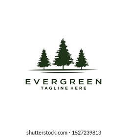 Pines, Spruce, Cedar trees, Rustic Retro Vintage Evergreen logo design