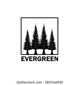 Pines, Spruce, Cedar trees, Rustic Retro Vintage Evergreen logo design