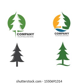 pines tree vector illustration design template