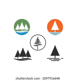 pines tree vector illustration design template