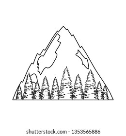 pines trees forest with mountains scene