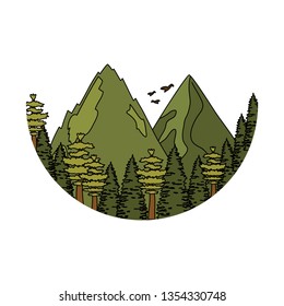 pines trees forest with mountains scene