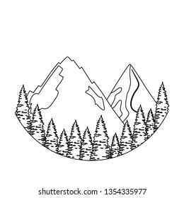 pines trees forest with mountains scene