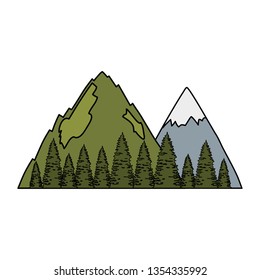 pines trees forest with mountains scene