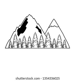 pines trees forest with mountains scene