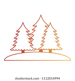pines trees forest scene