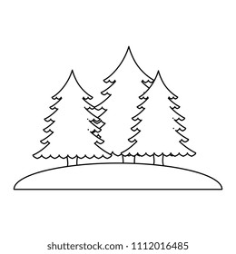 pines trees forest scene