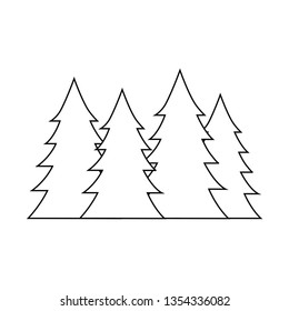 pines trees forest scene