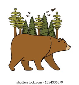 pines trees forest scene with bear grizzly