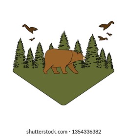 pines trees forest scene with bear grizzly