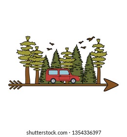 pines trees forest scene with car and arrow