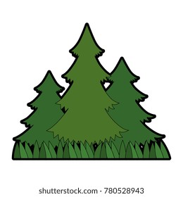 pines trees plants with grass