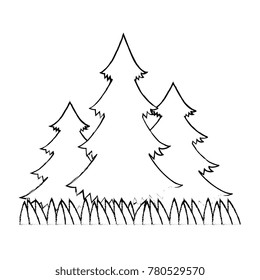 pines trees plants with grass