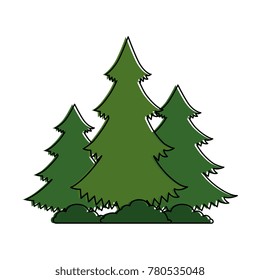 pines trees plants with grass