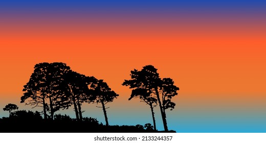 Pines trees silhouettes at sunset. Wild landscape or woodland with coniferous trees and evening sky.Night forest banner with copy space.Twilight of nature and northern lights.Stock vector illustration