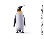 Pinguins realistic 3d illustration. Arctic fauna wild animals isolated illustration