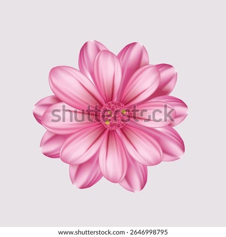pink 3d real decorative flower art 