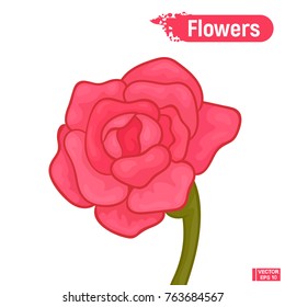 Pink abstract blooming flower.
