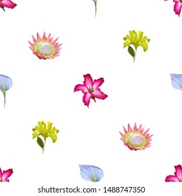 Pink Adenium. Blue Anthurium Tailflower. Yellow Lilium. Pink Protea. Vector illustration. Seamless background pattern. Floral botanical flower. Wild leaf wildflower isolated. Exotic tropical.