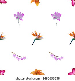 Pink Adenium. Orange Daylily. Orange Strelitzia Reginae. Purple Lotus. Purple Komakusa. Vector illustration. Seamless background pattern. Floral botanical flower. Wild leaf wildflower isolated.