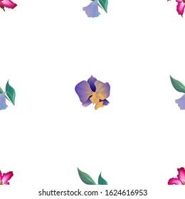 Pink Adenium. Purple Bllflower. Purple Orchid. Vector illustration. Seamless background pattern. Floral botanical flower. Wild leaf wildflower isolated. Exotic tropical hawaiian jungle. Fabric.