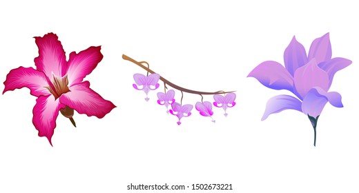 Pink Adenium. Purple Komakusa. Purple Magnolia. Vector illustration. Isolated illustration element. Floral botanical flower. Wild leaf wildflower isolated. Exotic tropical hawaiian jungle.