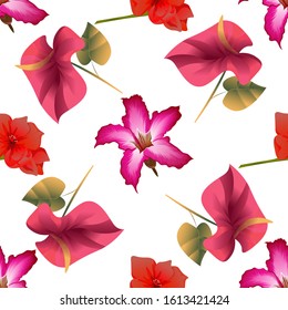 Pink Adenium. Red Amaryllis. Red Calla. Vector illustration. Seamless background pattern. Floral botanical flower. Wild leaf wildflower isolated. Exotic tropical hawaiian jungle. Fabric wallpaper.
