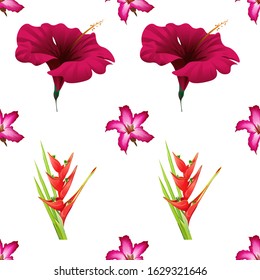 Pink Adenium. Red Heliconia Bihai. Red Hibiscus. Vector illustration. Seamless background pattern. Floral botanical flower. Wild leaf wildflower isolated. Exotic tropical hawaiian jungle. Fabric.