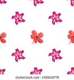 Pink Adenium. Red Hibiscus. Vector illustration. 