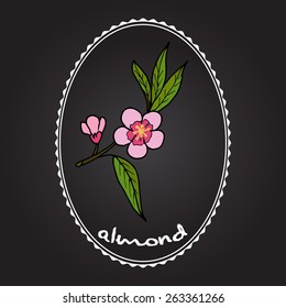 pink almond blossoms on a branch