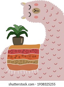 pink alpaca with a flower on the back